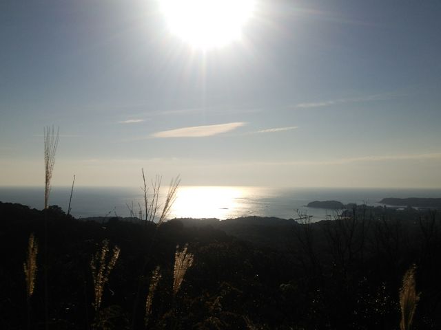 �C��������🎵�ō�_�p�[�����[�h