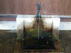 �Ղ�񂳂�̌Øa�G���ւ̓��e�ʐ^1