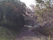 Sakamoto119̍c̓eʐ^12