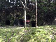 Sakamoto119̈̓eʐ^11