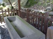 Sakamoto119̈̓eʐ^25