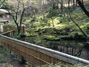 Sakamoto119̈̓eʐ^36