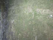 Sakamoto119̈Q̓eʐ^19