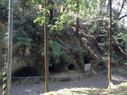 Sakamoto119̈Q̓eʐ^20