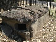 Sakamoto119̋ʎR@ӂꂠp[N̓eʐ^15