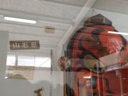 Sakamoto119̋ʎR@ӂꂠp[N̓eʐ^20