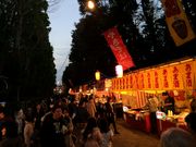 Bernesë䑐{̓eʐ^2