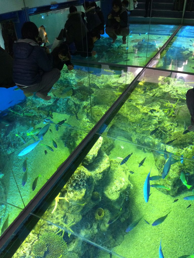 越前松島水族館