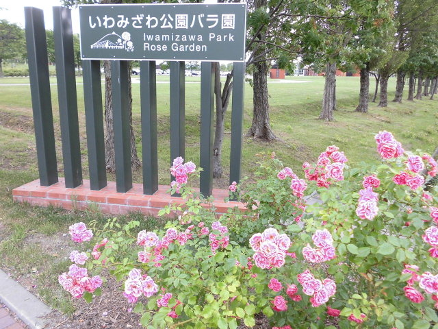 �����Ⴂ�ԒB_����݂�������o����