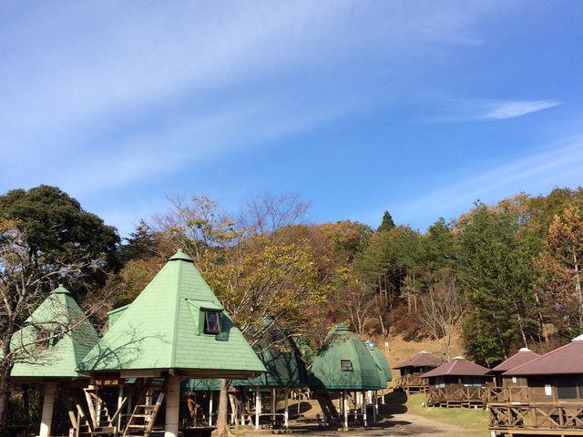 邭܂̐a̐XbWELv̓eʐ^2