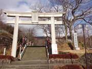 ꂨ񂳂̓ߐ{_Ђ̓eʐ^1