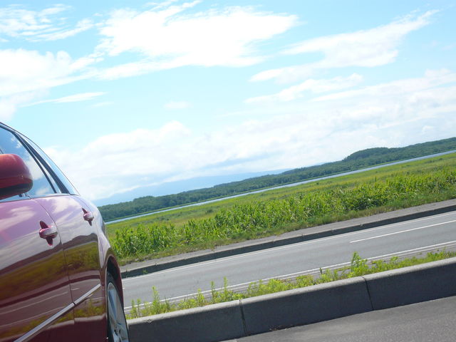 �����ԉ����ԏ�̍���������Ŕ��Α��̌΂ł��B_������