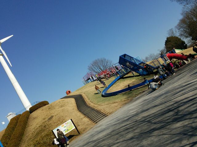 ���^�C�v�V����荬�G���͎�𓥂܂�₷��_�Ȗ،��q�ǂ������Ȋw��