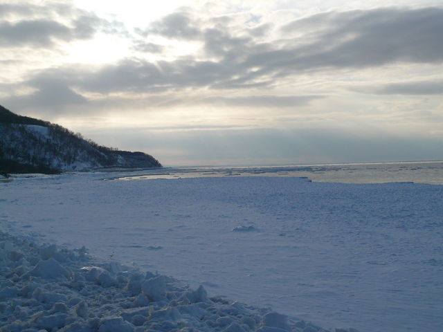 �E�g����O�̓���]�Ɏc���Ă����X�B_�I�z�[�c�N�C�̗��X