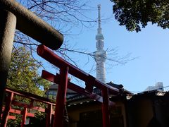 岳さんの三囲神社の投稿写真2