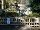 岳さんの三囲神社への投稿写真2