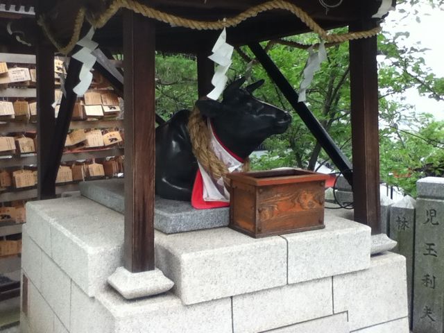 �k��V���_��_�k��V���_��