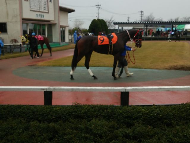 lwtexł܂ss[`tłB_򋣔n