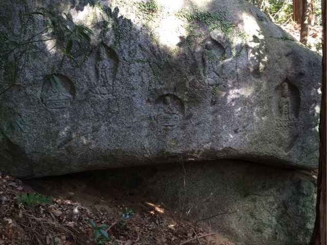 Ё[񂳂̑h@̖R̓eʐ^1