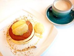 ����܂���̑�]�m�����R�q��`�R�R�K�[�f���ւ̓��e�ʐ^1