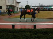 s[񂳂̋򋣔n̓eʐ^1