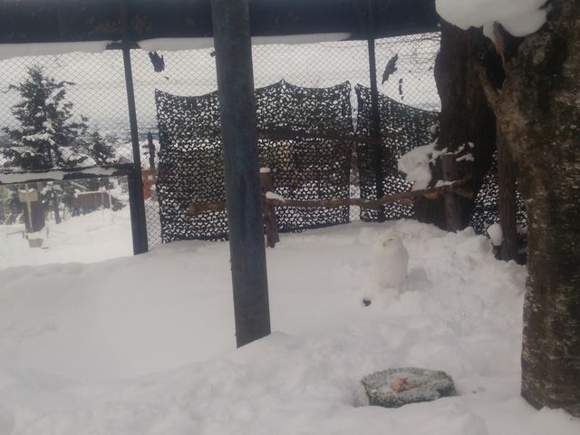 �t�N���E�͉����ɂ���ł��傤���H(��)_���R������