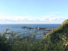 �����̎ʐ^1