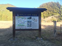 �F��Ó��̎ʐ^2