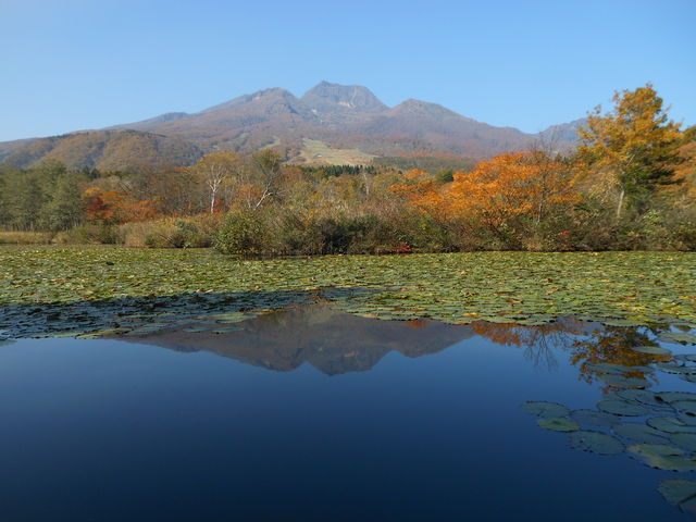 ��������(������r)_���������i������r�j