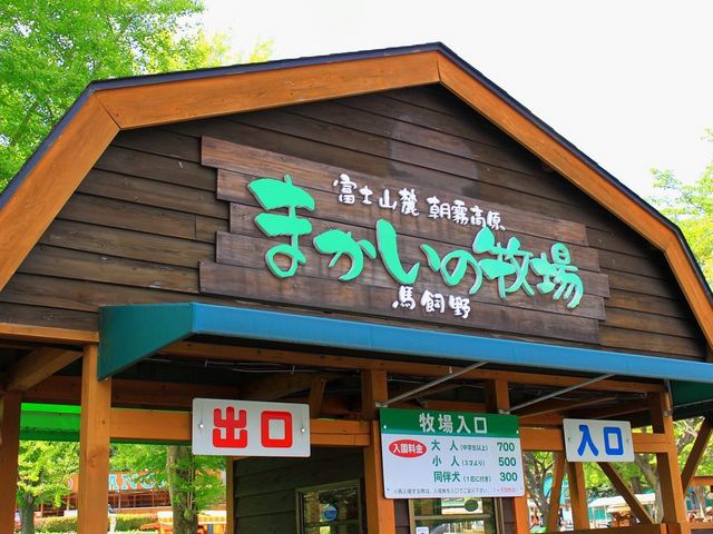 �܂����̖q��_�܂����̖q��