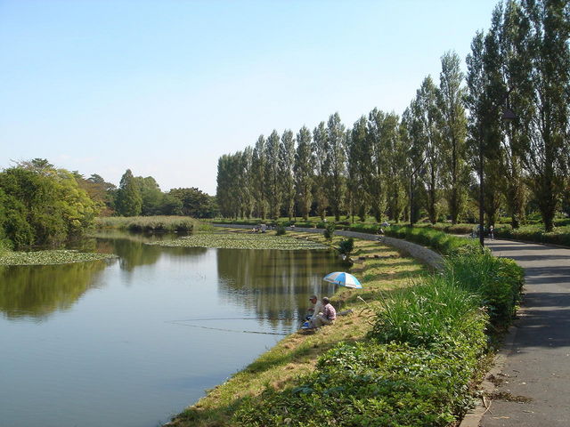 「水元公園 池」の画像検索結果