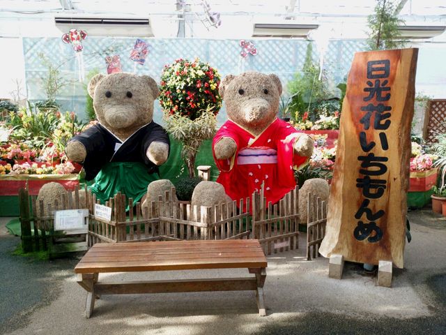 �a���̌F���񂪂��o�}���c_�����@�Ԃ��������