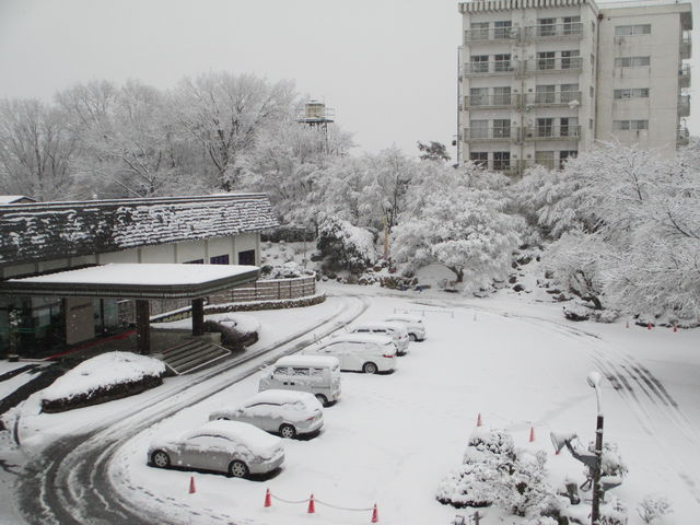 �n������
���N�������ʂ̋␢�E_�n������