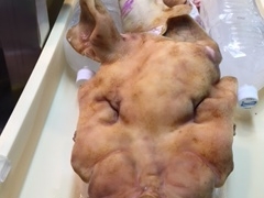 ���߂���񂳂�̑��q�u���ݎs��ւ̓��e�ʐ^1