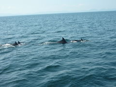 J̓쓇CJEHb`Oւ̓eʐ^1