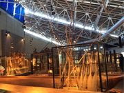 ݂΂B̓񕗒JACkق̓eʐ^1