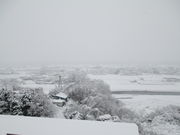 v[񂳂̔n򋽂̓eʐ^3