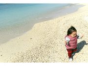 Ma223̉AEgbg[тȁ[̓eʐ^1