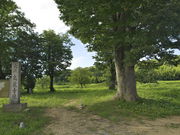 sklfh����̍��펛�Ղ̓��e�ʐ^1