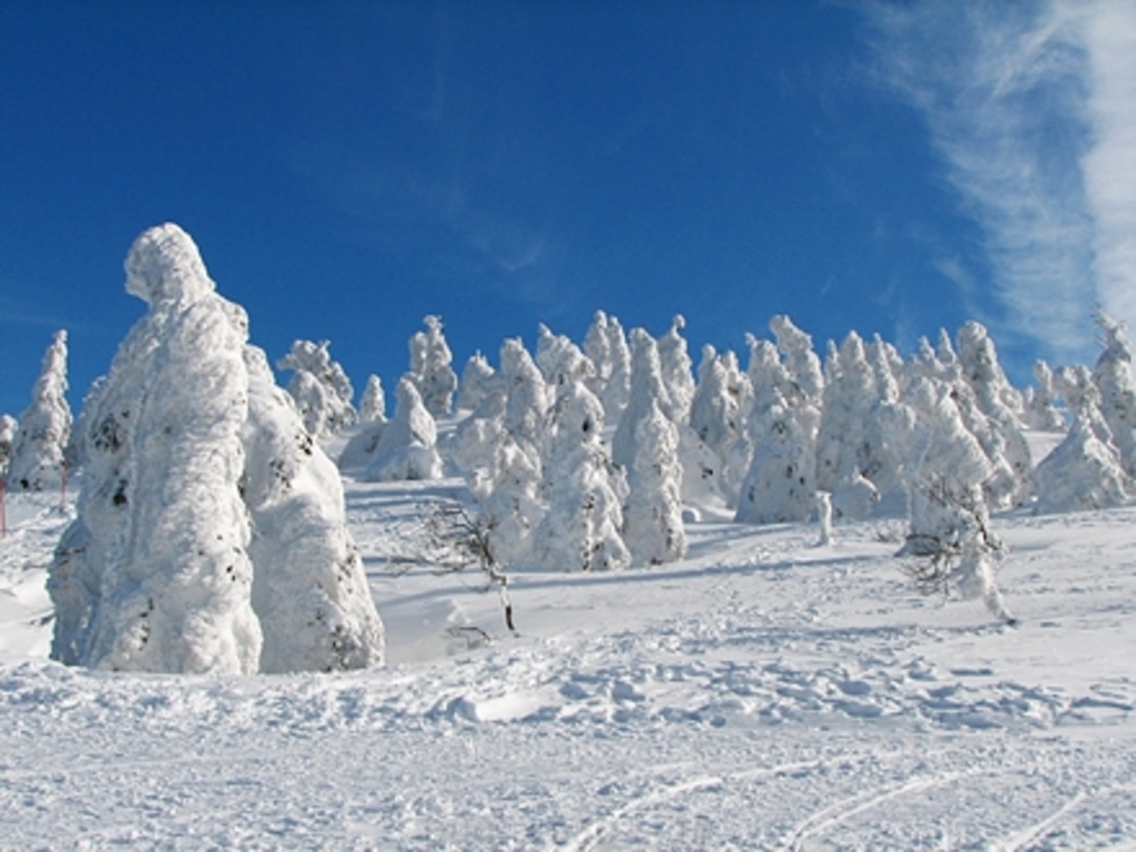北海道 冬絶景21選 この冬に行くべきおすすめスポットを厳選 じゃらんニュース