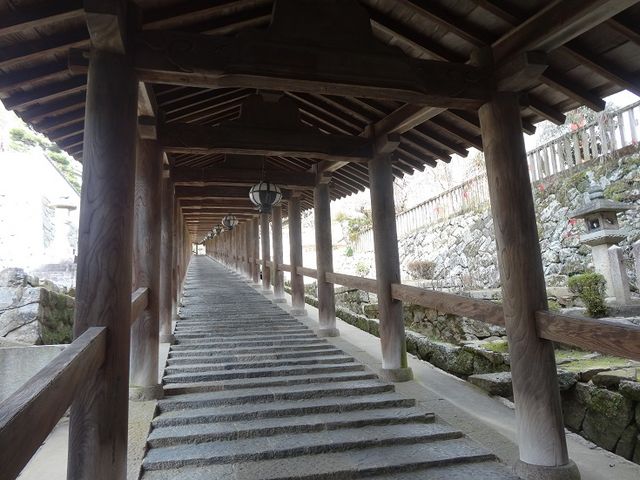 ���J���̉�L_���J��