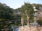 ���΂���̓��s���^���傤�Ԃ̓��e�ʐ^1