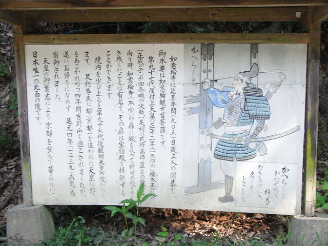 �R��_�@�ӗ֎�