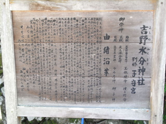 �R��_�g�쐅���_��