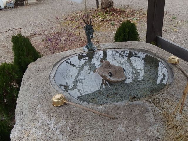 �ʗ��c���_