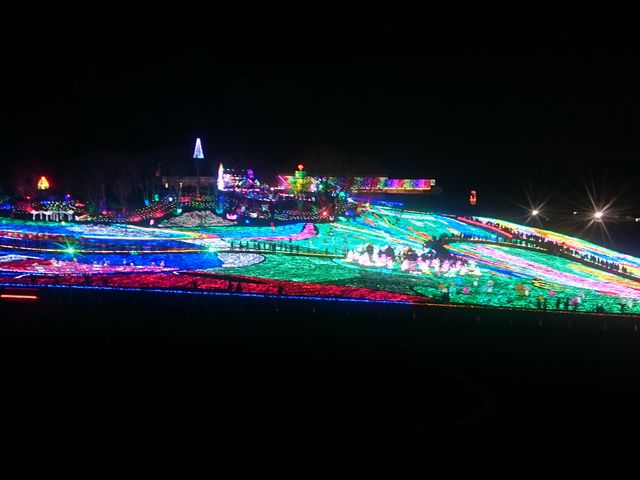 �����h�C�c��