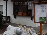 nejibana̕ʗc_̓eʐ^5