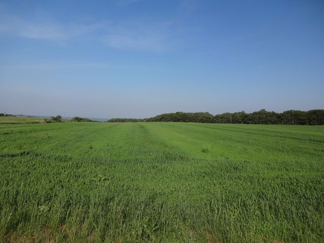 ̍LXƂԂ͐Sx܂B_₭炢K[f