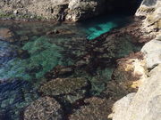 ����������̕����C������̓��e�ʐ^1