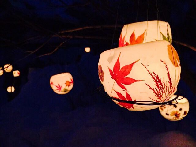 �f�G�ł���ˁ[(^^)
���{�l�ŗǂ�����~~�ƌւ�Ɏv���܂���
�O���l�ό��q�ɂ��l�C�ł�����B_���M�^��